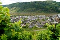 scenic vineyards on by the Moselle river and panoramic view of German village Alken (Germany) Royalty Free Stock Photo