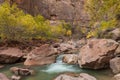 Scenic Virgin River Zion National Park Utah in Fall Royalty Free Stock Photo