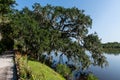 Scenic vista with a live oak tree covered with spanish moss near a lake at a historic plantation near Charleston