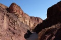 Scenic wadi in Eilat Mountains. Royalty Free Stock Photo