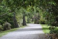 A Scenic Walk Through Nature.