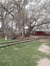 Scenic walk on the tracks behind Terry Bison Ranch Cheyenne Wyoming