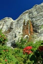 Scenic walking route. Pshekh waterfall.