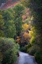 Scenic walking trail near Provo canyon in Utah