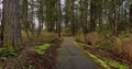 Scenic Walking Trail Path in the green woods. Suburban City Park in Fraser Heights Royalty Free Stock Photo