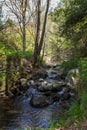 Scenic Water Stream in Tris Elies, Troodos mountains forest Royalty Free Stock Photo