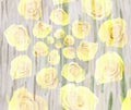 Scenic watercolor flower background with yellow roses, spiral