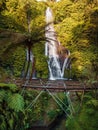 Waterfall with bridge and exotic plants in tropics. Jungle cascade waterfall in tropical rainforest with warm sun light