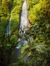 Waterfall and exotic plants in tropics. Jungle cascade waterfall in tropical rainforest Royalty Free Stock Photo