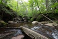 Scenic Waterfall in Ricketts Glen State Park in The Poconos in P Royalty Free Stock Photo