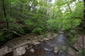 Scenic Waterfall in Ricketts Glen State Park in The Poconos in P