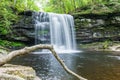 Scenic Waterfall in Ricketts Glen State Park in The Poconos in P