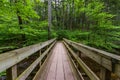 Scenic Waterfall in Ricketts Glen State Park in The Poconos in P