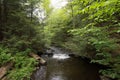 Scenic Waterfall in Ricketts Glen State Park in The Poconos in P