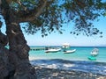 Scenic White Sand Beach with the Shadow of Big Tree and Boats on Clear Blue Turquoise Water Sea During Hot Summer