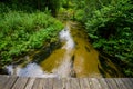 Sopot river in Roztocze region of Poland Royalty Free Stock Photo