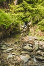 Scenic wild Helle river near Winterberg in Rothaar Mountains in Northrhine-Westphalia state Royalty Free Stock Photo