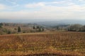 Scenic of Willamette Valley vineyard in fall Royalty Free Stock Photo