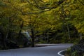 Scenic Winding Road - Autumn / Fall Colors - Smugglers Notch - Vermont Royalty Free Stock Photo