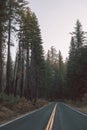 Scenic winding road through yosemite national park Royalty Free Stock Photo