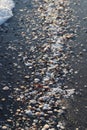 Scenic winter beach with seashells and snow on sandy shoreline Royalty Free Stock Photo