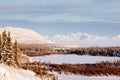 Scenic winter at frozen Lake Laberge Yukon Canada Royalty Free Stock Photo