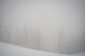 Scenic winter landscape featuring a snow-covered hillside with trees shrouded in a dense fog