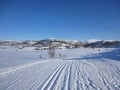 Scenic winter landscape in Rauland with cross-country skiing track Royalty Free Stock Photo