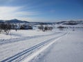 Scenic winter landscape in Rauland with cross-country skiing track Royalty Free Stock Photo