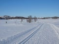 Scenic winter landscape in Rauland with cross-country skiing track Royalty Free Stock Photo