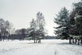 Scenic winter landscape Royalty Free Stock Photo