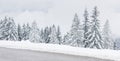 Scenic winter landscape with snow clad trees