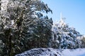 Scenic winter landscape with snow covered trees and shrubs on the roadside. Winter wonderland Royalty Free Stock Photo