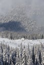 Scenic winter landscape with snowy fir trees and small cottage Royalty Free Stock Photo