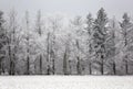 Scenic winter landscape