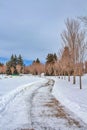 Walkway Through A Wintry Calgary Park