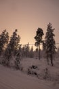 Scenic winter pathway lined with tall pine trees blanketed in the pristine snow in Lapland, Finland Royalty Free Stock Photo