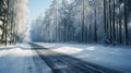 Scenic winter road through forest covered in snow after snowfall Royalty Free Stock Photo