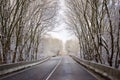 Scenic winter road through icy forest Royalty Free Stock Photo