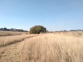 Scenic winter`s grassland landscape photograph