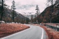 Scenic winter view from the asphalt road in the mountains covered with snow and pine trees on the side of the road on a background Royalty Free Stock Photo