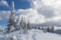 Scenic winter wonderland in the wild Royalty Free Stock Photo