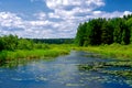 Scenic Wisconsin Wilderness Royalty Free Stock Photo