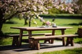 Scenic wooden picnic table in serene park beneath blossoming tree with vibrant flowers