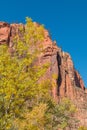 Scenic Zion Narrows in Fall Royalty Free Stock Photo