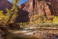 Scenic Zion Narrows in Fall Royalty Free Stock Photo