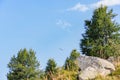 A scenics view of a glider in the mountain with pine tree under a majestic blue sky and some white clouds Royalty Free Stock Photo