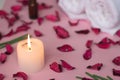 Scented candle and dry petals on pink background; wellness or sp Royalty Free Stock Photo