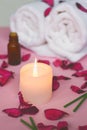 Scented candle and dry petals on pink background; wellness or sp Royalty Free Stock Photo