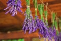 Scented lavender herbs for alternative medicine or cosmetic products Royalty Free Stock Photo